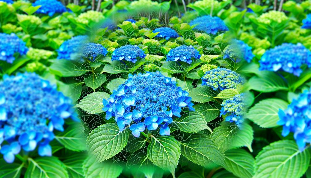 Thriving Hydrangea Varieties: Resistant Against Pests and Diseases ...